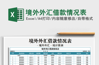 2021年境外外匯借款情況表