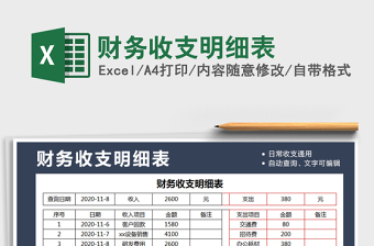 2021年財(cái)務(wù)收支明細(xì)表