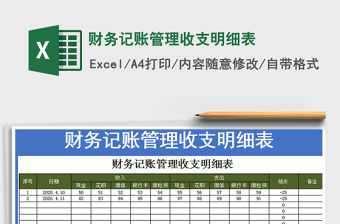 2021年財(cái)務(wù)記賬管理收支明細(xì)表