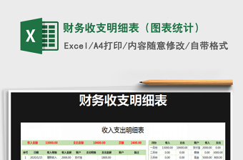 2021年財務收支明細表（圖表統(tǒng)計）