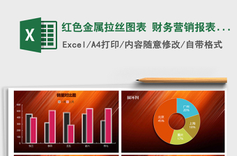 2022红色金属拉丝图表 财务报表 销售报表金融