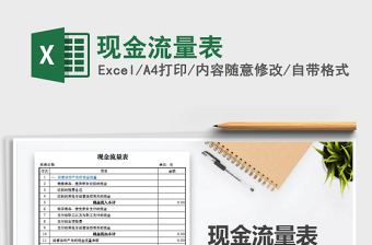 2022现金流量表excel