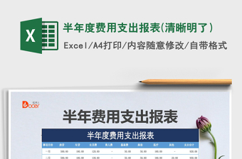 2021年半年度費(fèi)用支出報(bào)表(清晰明了）