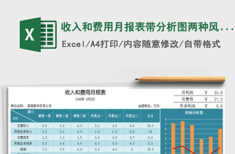 收入分析表