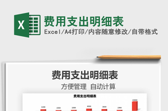 2021年費(fèi)用支出明細(xì)表