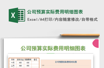 2021年公司預算實際費用明細圖表