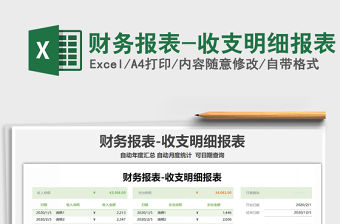2021年財(cái)務(wù)報(bào)表-收支明細(xì)報(bào)表