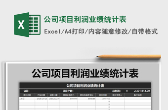 2022项目利润概况表模板