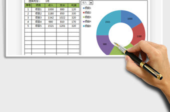 2021年項目收入支出利潤表