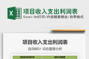 2021年項(xiàng)目收入支出利潤(rùn)表