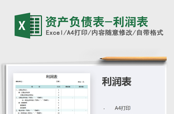 2021年資產(chǎn)負債表-利潤表