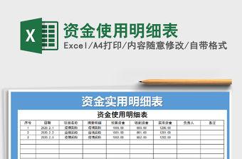 2021年資金使用明細(xì)表