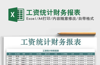 2021年工資統計財務報表