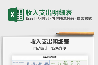 2021年收入支出明細表