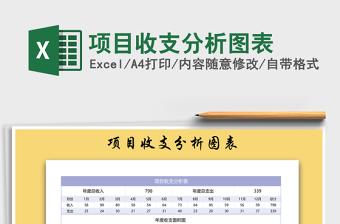 2021年項(xiàng)目收支分析圖表