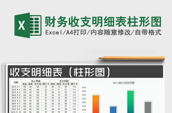 2022年財(cái)務(wù)收支明細(xì)表柱形圖