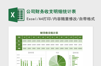 2021年公司財(cái)務(wù)收支明細(xì)統(tǒng)計(jì)表