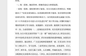 2021年公司五好黨支部標(biāo)兵申報(bào)材料