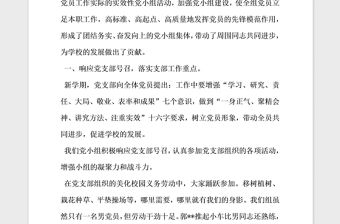 2021年小學(xué)黨支部先進(jìn)黨小組事跡材料