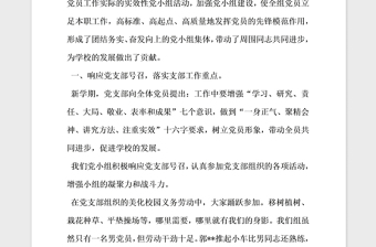 2021年小學黨支部先進黨小組事跡材料