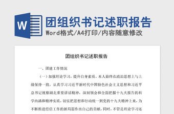 2021年團組織書記述職報告