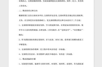 2021年黨員先進性教育黨支部整改方案