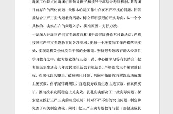 2021年全面從嚴治團問題自查報告