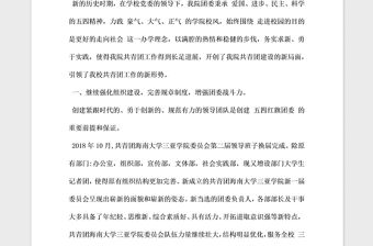 2021年五四紅旗團(tuán)委申報材料