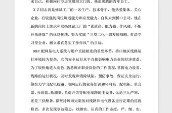 2021年電力公司員工優秀黨員事跡材料