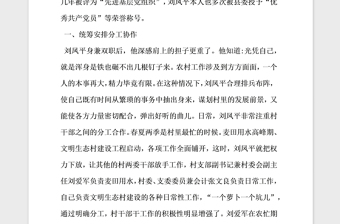 2021年村黨支部書(shū)記個(gè)人事跡