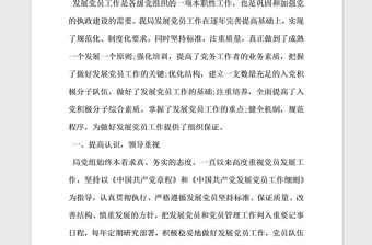 2021年發展黨員工作自查報告范文