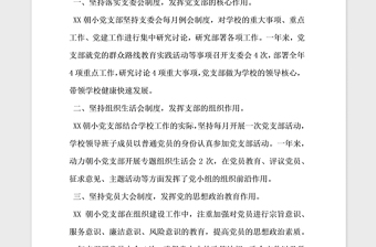 2021年學(xué)校黨支部組織制度落實(shí)情況自檢自查報(bào)告