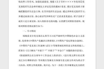 2021年支行黨支部委員會對照檢查材料