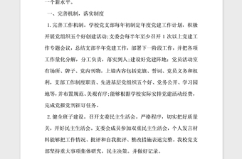 2021年學(xué)校黨務(wù)工作自查報(bào)告