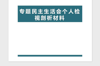 2021年專題民主生活會個人檢視剖析材料