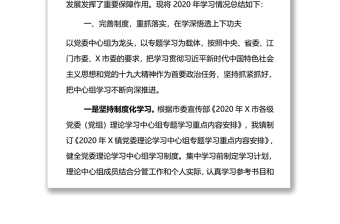 党委理论学习中心组2020年工作总结及2021年学习计划