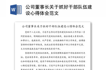 公司董事長關于抓好干部隊伍建設心得體會范文
