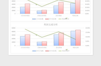 2021年利潤分析表
