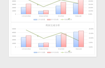 2021年利润分析表