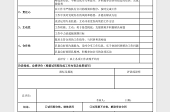 2021年員工試用期工作表現(xiàn)評估表