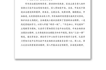 XXX主要負(fù)責(zé)人履行法治建設(shè)第一責(zé)任人工作情況報(bào)告