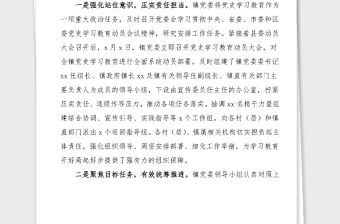 黨史學習教育總結鄉鎮黨史學習教育工作情況匯報范文工作總結匯報報告