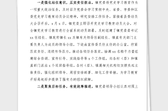 黨史學(xué)習(xí)教育總結(jié)鄉(xiāng)鎮(zhèn)黨史學(xué)習(xí)教育工作情況匯報范文工作總結(jié)匯報報告