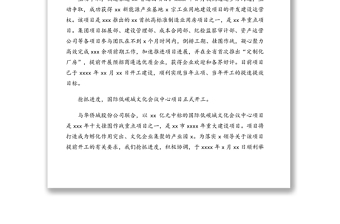 2020年度工作報(bào)告（集團(tuán)公司）