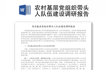 農(nóng)村基層黨組織帶頭人隊伍建設(shè)調(diào)研報告