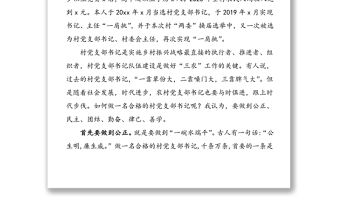 優(yōu)秀村黨支部書記發(fā)言：如何做一名合格的村黨組織書記
