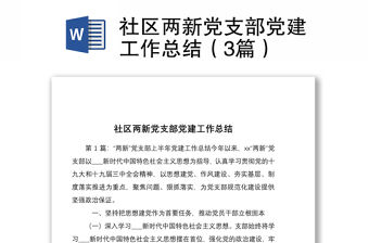 社區兩新黨支部黨建工作總結（3篇）