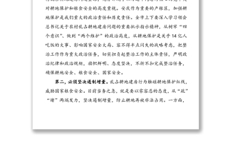 在全市農(nóng)村亂占耕地建房問題整治工作上的講話范文