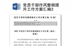 2021年审计局干部作风整顿方案