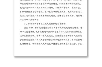 2篇市人大代表述職報(bào)告范文